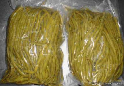 酸豇豆的腌制方法 酸豇豆的完美腌制方法