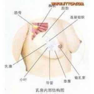 催乳素偏高的原因 催乳的特效穴位