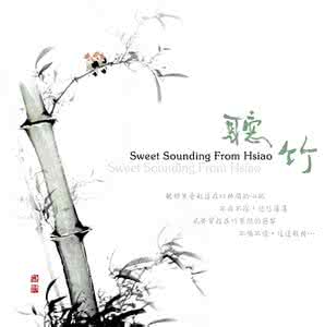 美丽心灵音乐欣赏 听竹(罗启瑞 心灵乐赏系列18首)