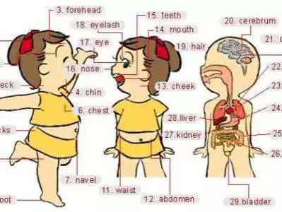 高一学生心理特点分析 太全了！分析了九类学生的特点并分别给予忠告，看看你孩子是哪一类？