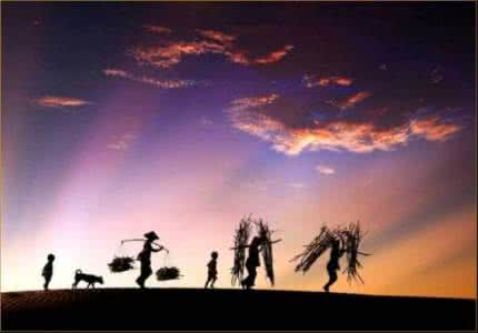 哲思小语 哲思小语（480）