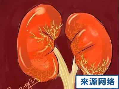 女的肾病有什么症状 女的肾病有什么症状 肾病的症状有哪些