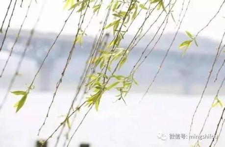 千古奇诗 千古奇诗“一七令”，令所有的美好如约而至！