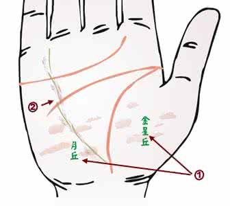 金星木星水星火星土星 手腕线 金星带  健康线  水星线  情欲线  直觉线