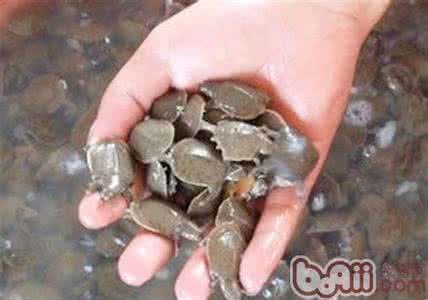 易生风动血的病邪是 什么样的性格易生什么样的病