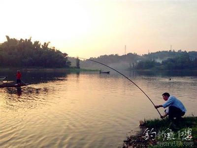 鲤鱼钓法 达人力荐丨秋季鲤鱼的经典钓法