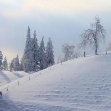 夜中笺.无题 朝朝暮暮绕指歇，落墨无题笺上雪