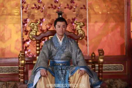 汉武帝和卫子夫真爱吗 汉武帝和卫子夫之间真的有感情吗 汉武帝和卫子夫