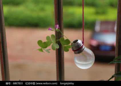 恰到好处的幸福 养花的第一步:恰到好处的水分!