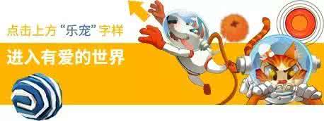 乐宠宠物店 玩个痛快！乐宠喊你一起来参加宠物圣诞大Party