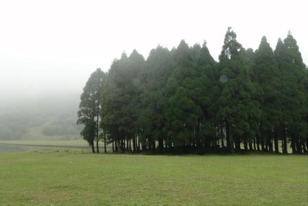 大容山国家森林公园 广西---大容山森林公园、姑婆山国家森林公园、龙潭国家森林公园