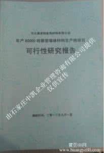 透水砖可行性研究报告 项目立项与可行性研究 水泥彩瓦砖项目可行性研究报告(发改立项备案+2013年最新案例范文)详细编制方案