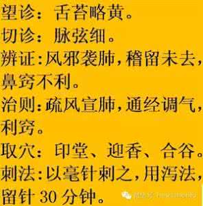 治疗鼻炎中成药排名 患了鼻炎，如何正确选用中成药治疗？