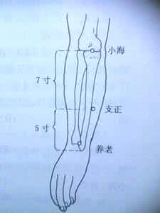 手太阳小肠经歌诀 6:  手太阳小肠经药歌诀时辰