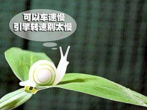 爱车在线ico2o 警惕！不要因为省油而毁了爱车【图】