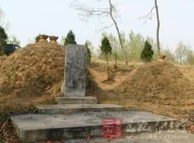 坟头上长树好不好 祖坟上长出这东西后代兴旺