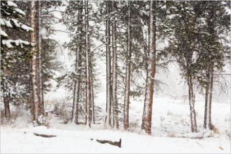 雪景拍照衣服搭配图 冬天拍照去 简易雪景摄影小技巧一览