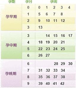 怎样算怀孕周期 怎样算怀孕周期 怎样算怀孕时间