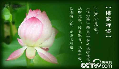 go 顺其自然就好 佛说:就让一切顺其自然