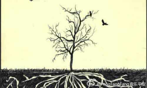 不以己度人 不以己度人,最大的慈悲