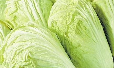 醋白菜怎么吃减肥法 大白菜减肥食谱