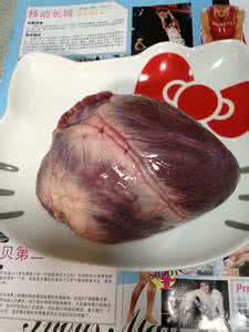 解剖猪心步骤 清洗猪心步骤