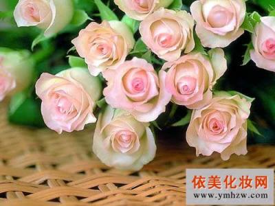 玫瑰花如何吃更养颜 玫瑰花养颜 玫瑰花可嫩肤美颜 教你6个玫瑰养颜方