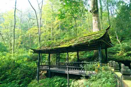 隐居山林 怎么隐居山林？