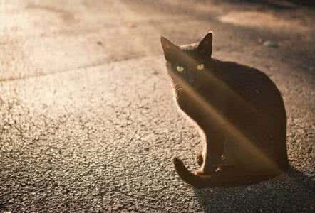 对未来不确定性的恐惧 对未来的不确定恐慌