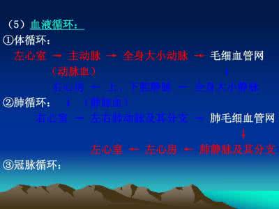安乐死是什么意思 安乐死的意思 【安乐死是什么】安乐死是什么意思