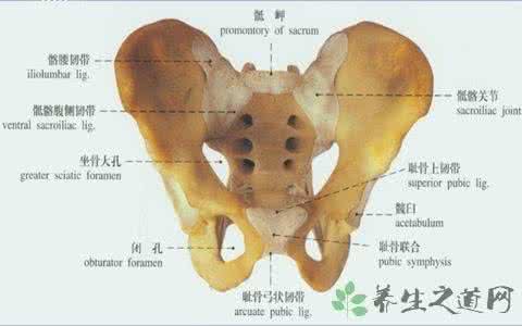 测量骨盆大小会痛苦吗 自己测骨盆大小 产前为什么要测骨盆大小