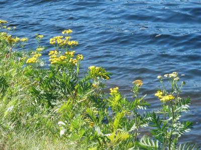 重生之无憾今生 只为一次无憾的春天