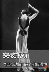 金毛寻回犬 寻回按动快门前的那股激情