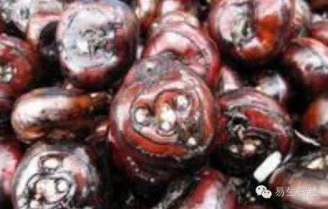 中国肿瘤秘方全书 【中医秘方】原来肿瘤也有克星，小小荸荠战胜了晚期肺癌！