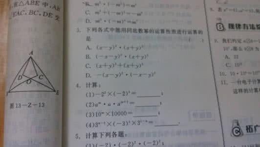 整式的乘法与因式分解 整式的乘法与因式分解 初二  “整式与因式分解”中考真题分类汇编，拿走