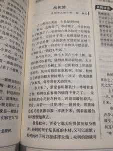 运用修辞手法的作文 浅谈修辞在作文中的运用