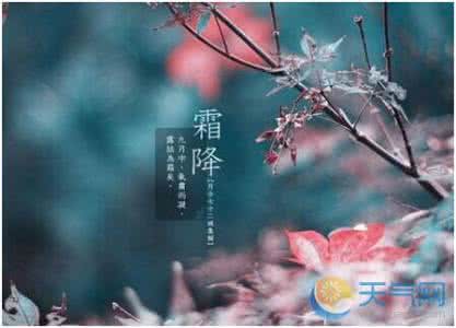 霜降是几月几日 2015年霜降是几月几日