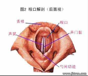 中医治疗慢性咽喉炎 图文：慢性咽喉炎，喉咙干痒，咳嗽中医治疗方法