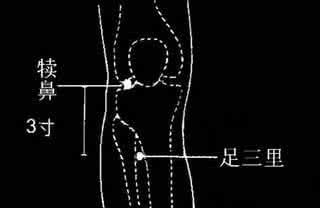 肾病特效药 ●肾病特效穴【补肾歌】