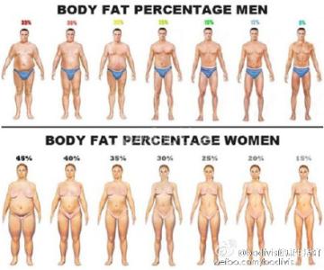 体脂率多少算健康 体脂率多少算健康 做多少爱才算是健康？