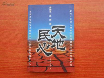 天地民心电视剧全集 《天地民心》1~40集全