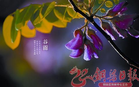 万物赠我浓情蜜意 人懂草木情，万物解人意