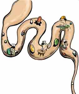 淘宝上的补肾蜂蜜 【肾跳】1212淘宝竟敢这么玩?不刺激吞粪自尽!