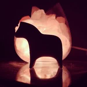 个人魅力 10个手机摄影技巧,助你个人魅力快速飙升