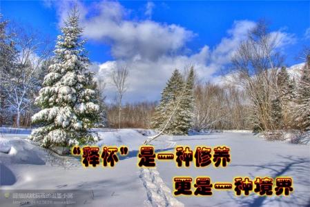 这是一种修养 ╭*★*“释怀”是一种修养,更是一种境界 !╭*★*╯