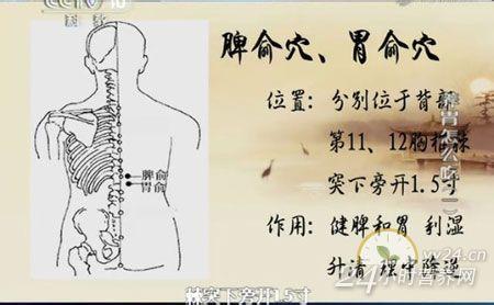 健康之路养好胃不反酸 健康之路 反酸 养好胃 不反酸（下）| 健康之路