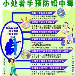 诊断性研究证据的应用 诊断性研究证据的分级 儿童铅中毒的诊断与分级