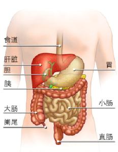 治疗直肠癌最好的医院 直肠癌能治好吗 直肠癌的治疗方式有哪些