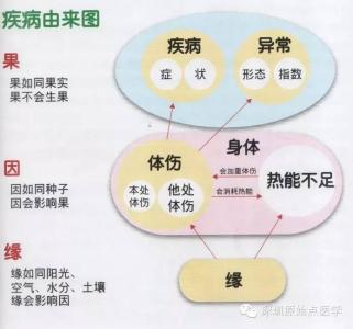 原始点疗法案例 【原始点案例】轰动美国、西医放弃的植物人和孕妇血癌！