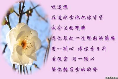 挽救婚姻的话语 关于婚姻的经典话语